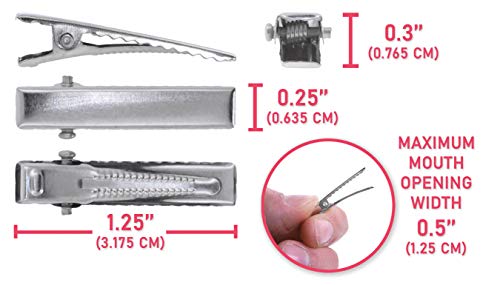 Measurements of Alligator Hair Clips