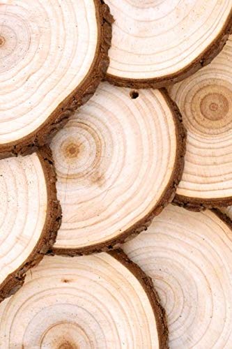 Natural Wood Slices for Centerpieces Crafts - Predrilled Wooden Circles Round Discs with Bark for Wood Burning Projects Arts Coaster Table Décor 20 PCs (Natural, 3.5 Inches)