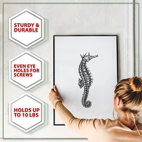 Mandala Crafts D Ring Picture Hangers - Picture Hanger with Screws D Hooks for Picture Hanging - D Rings Picture Hanging Hardware