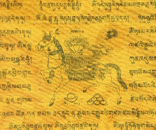 Mandala Crafts Tibetan Large 11X11 Prayer Flags, 5 Roll Set, Green Tara Flags X 50, 50 Ft (Lungta)