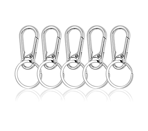 Mandala Crafts 5 PCs Metal Carabiner Keychain Clip Key Ring Clips  Key Chain Clip Organizer - Keyring Holder Key Clip Ring for Car Key Finder