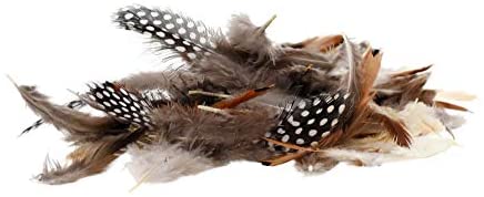 Chicken Natural Loose Feather for Dream Catchers