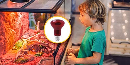 Red 75-Watt Light Bulb
