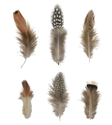 Craft Feathers - Natural Feathers - Loose Real Chicken Feather for Dream Catcher Jewelry Making Hats Crafts by Mandala Crafts 1.25 to 4.25 Inches 180 PCS