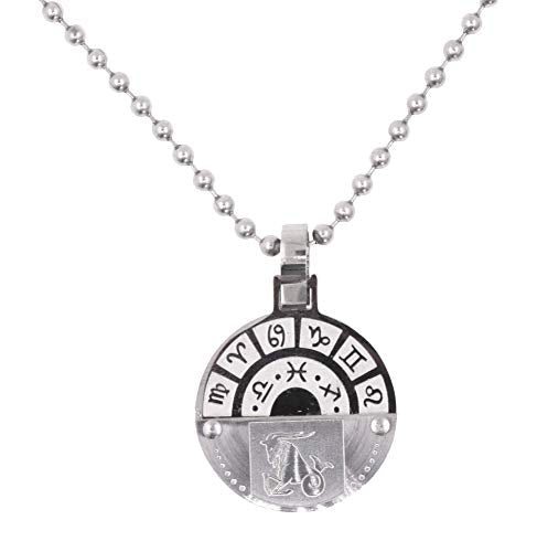 Mandala Crafts Zodiac Constellation Jewelry Pendant Necklace, Horoscope Gift for Men and Women (Capricorn)