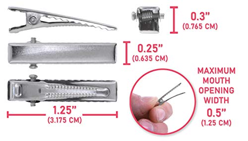 Measurements of Alligator Hair Clips