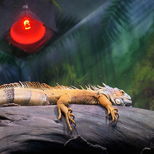 Light Bulb for Reptile, Dog, Aquatic Turtle, Chicken, Bearded Dragon, Lizard, Bird