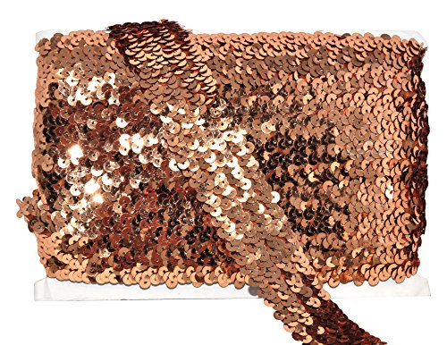 Brown Dress Embellish Sequin Ribbon